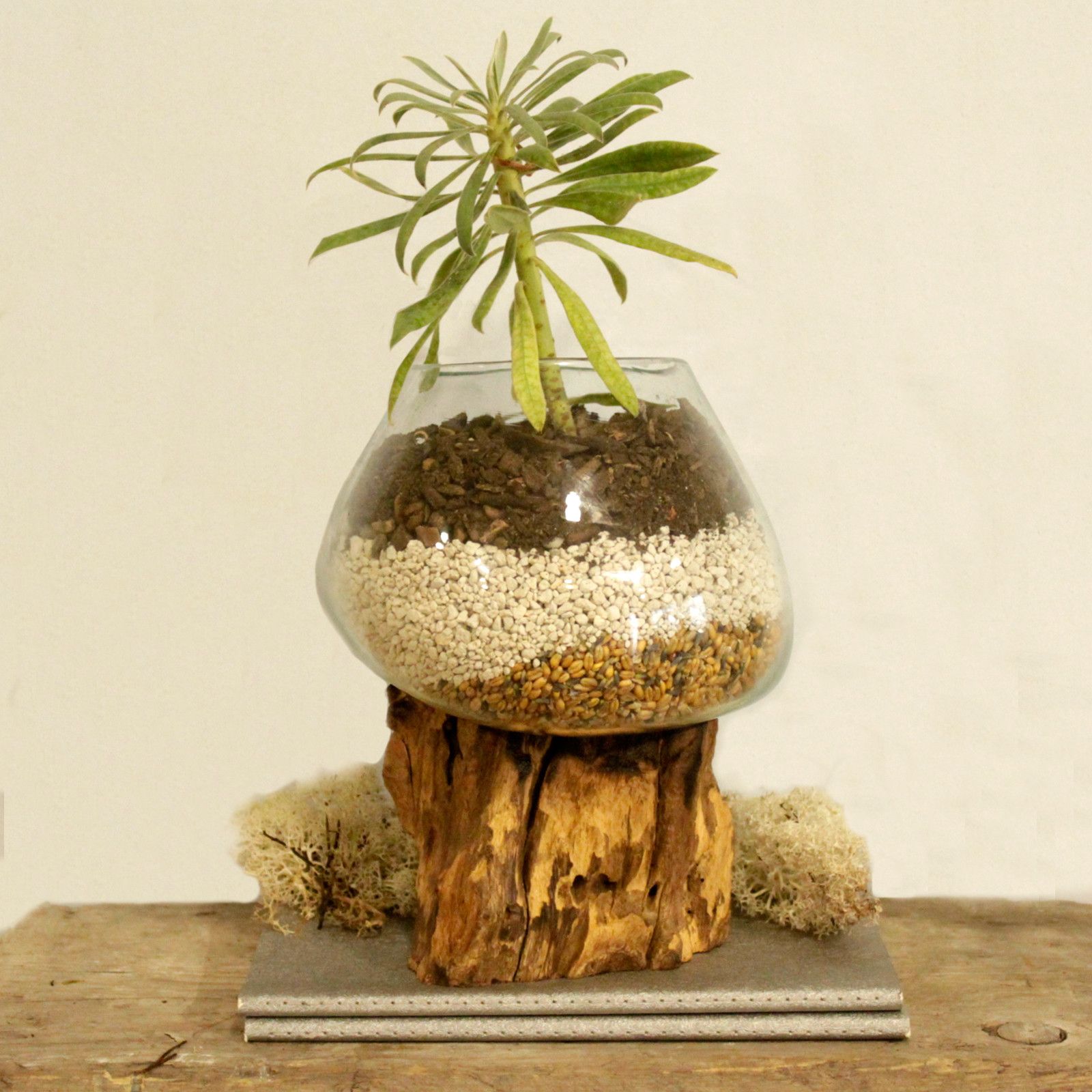 Molten Glass on Wood - Large Bowl - Image 3